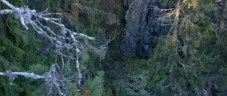 Hallitus ja Ulkoilupäivä 1.11.2014 (1)