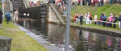 Varistaipaleen Naisten nippu-uitto tapahtumaan (6)